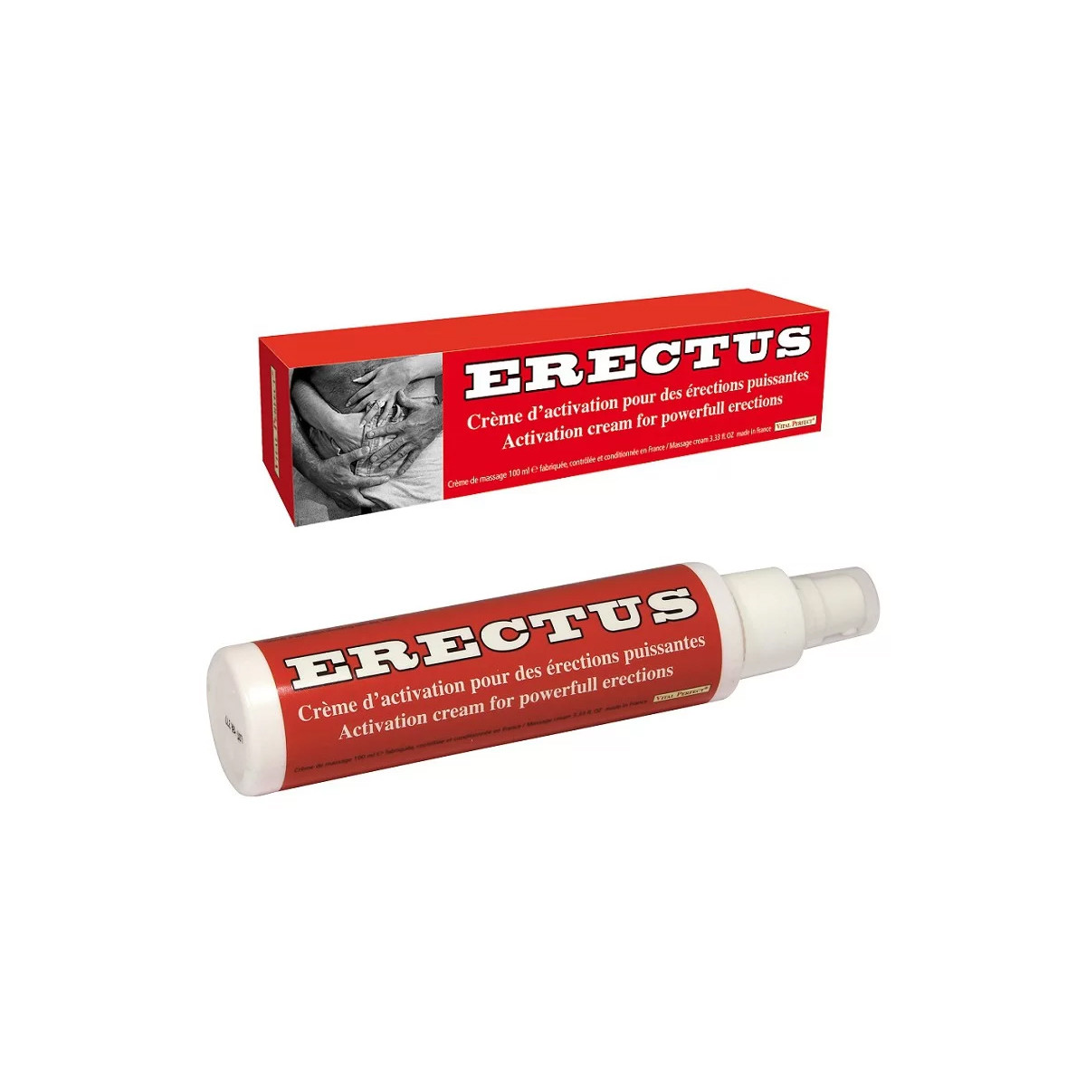 Erectus Erectus