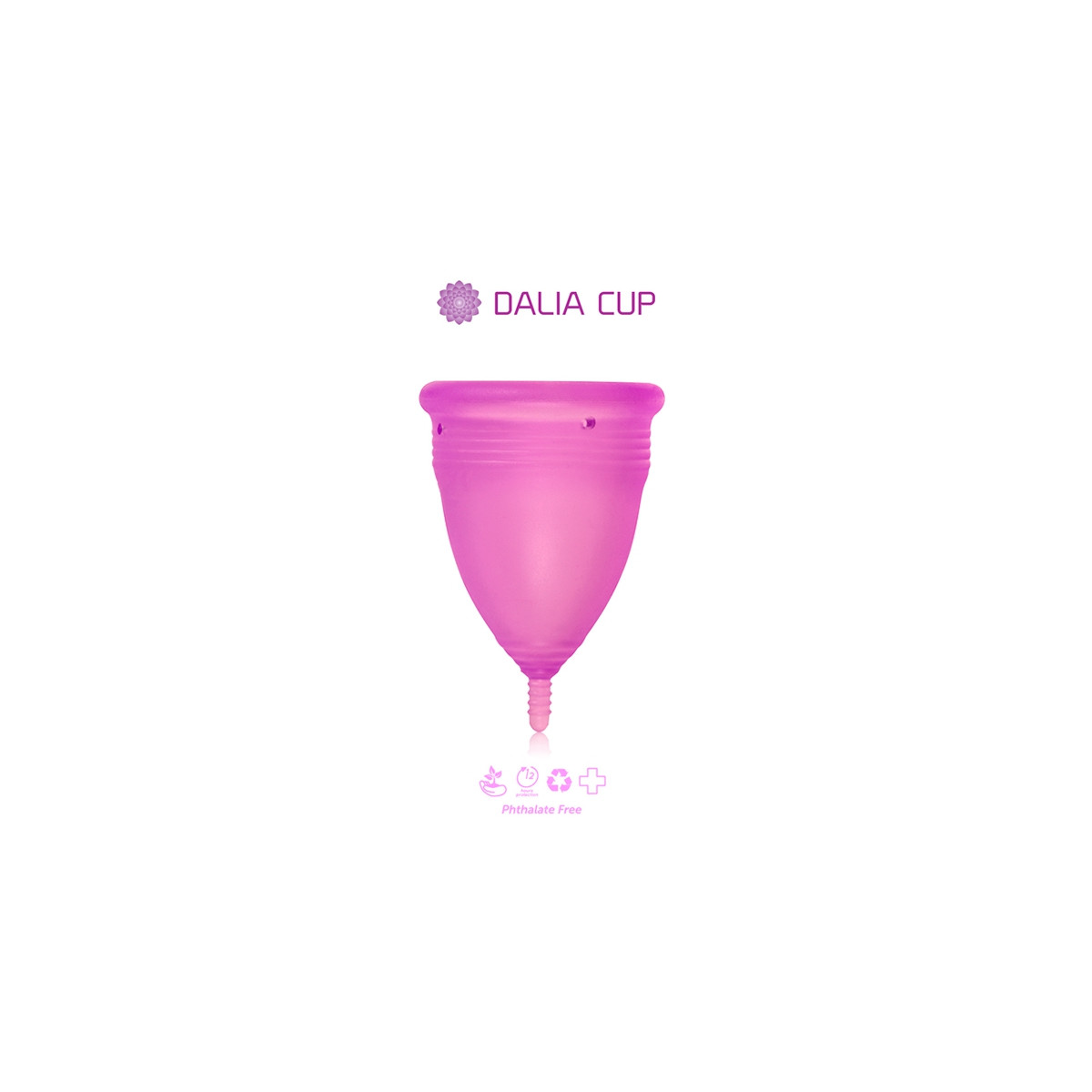 Dalia Cup Dalia Cup